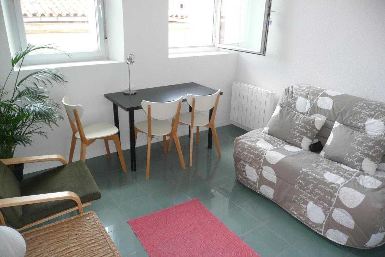 Appartement Dans Toulouse Hyper Centre Zewnętrze zdjęcie